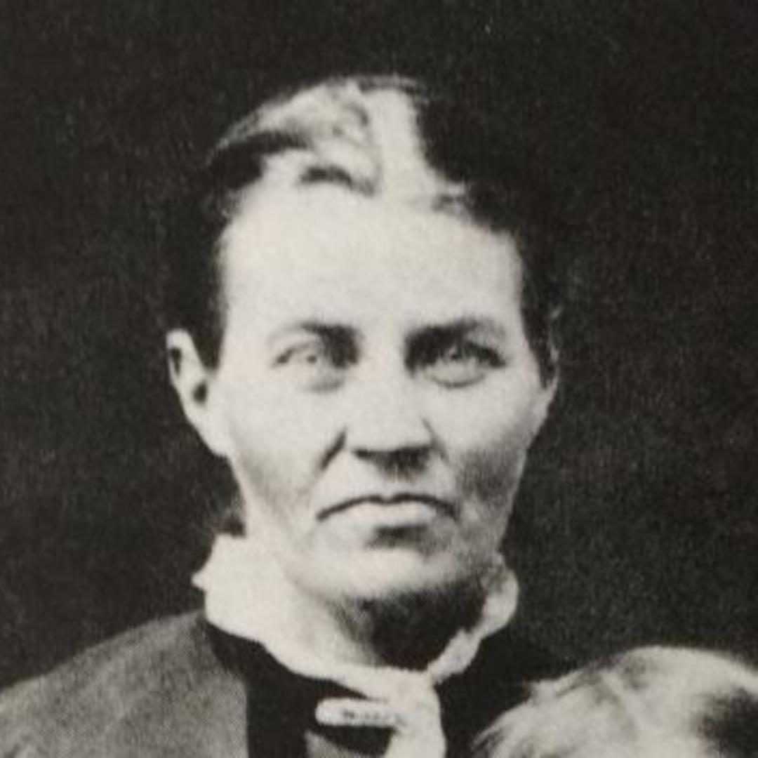 Phoebe Daniels (1840 - 1901) Profile